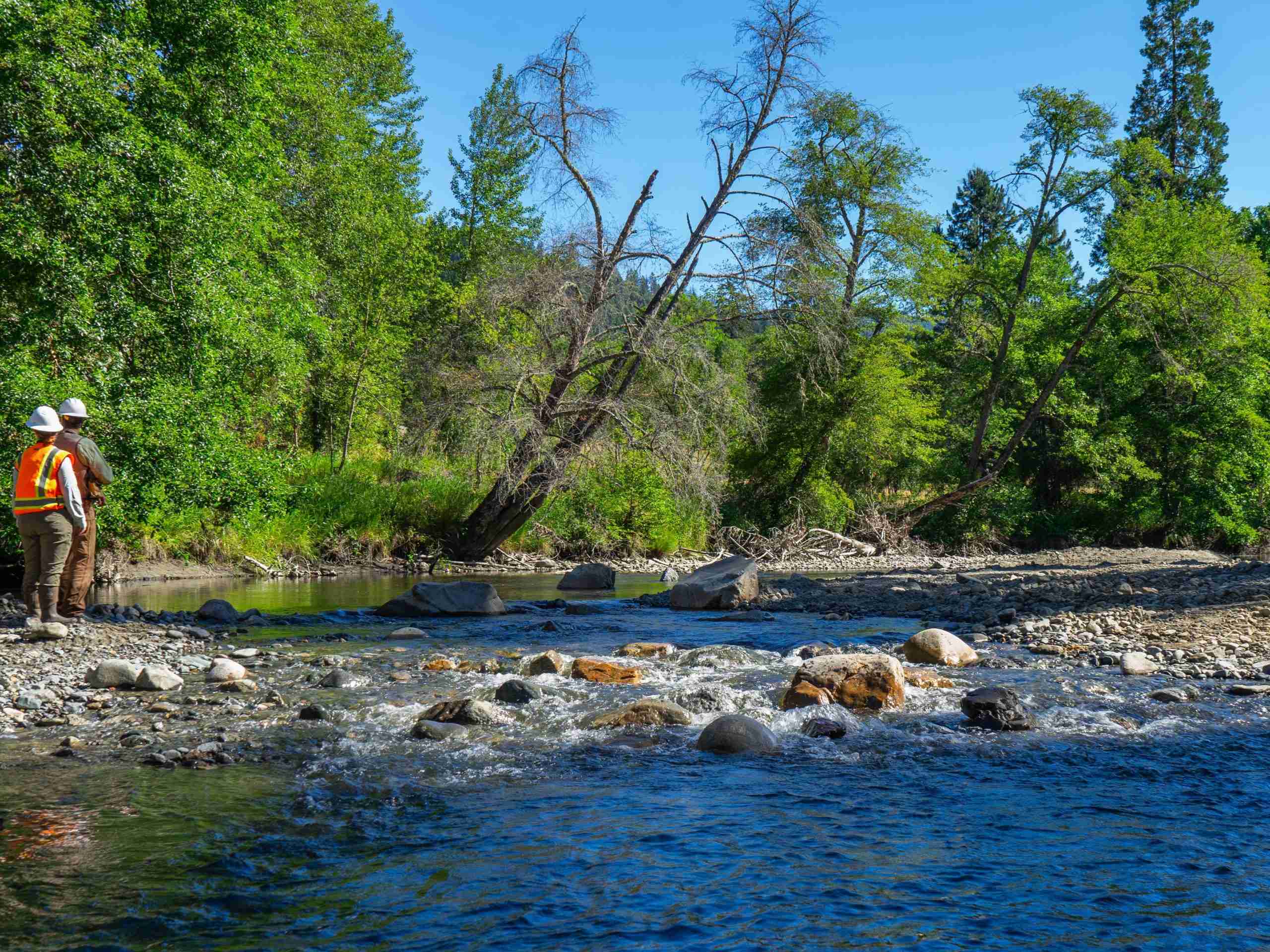 Working with Tribes to protect native fish and restore habitat